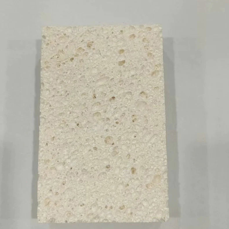 PurePulp Dish Sponge