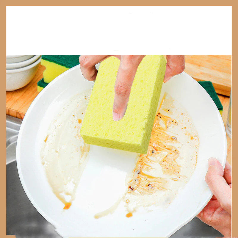 PurePulp Dish Sponge