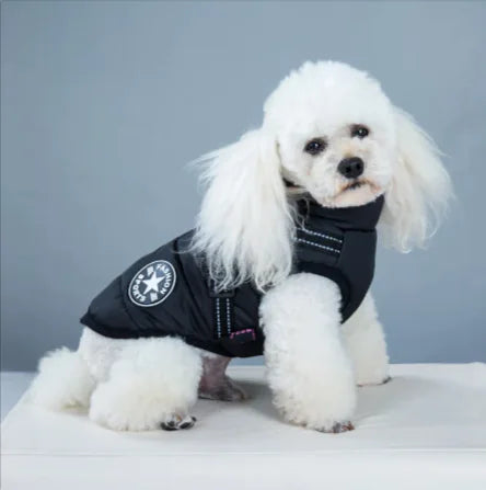 Winter Warm Hooded Coat for Small Dogs and Cats