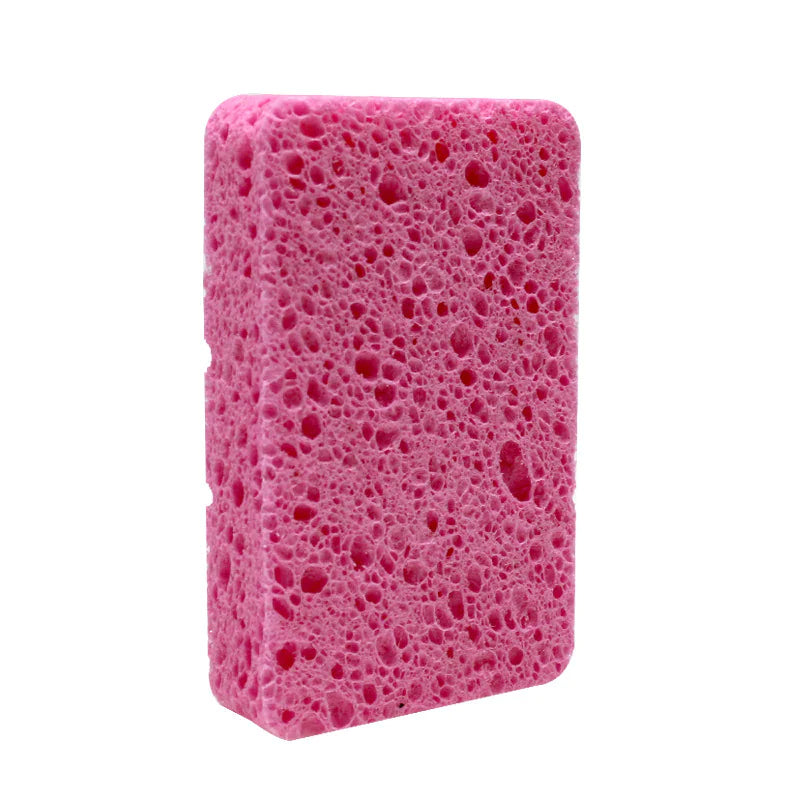 PurePulp Dish Sponge