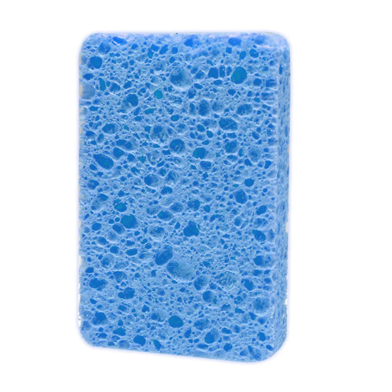 PurePulp Dish Sponge